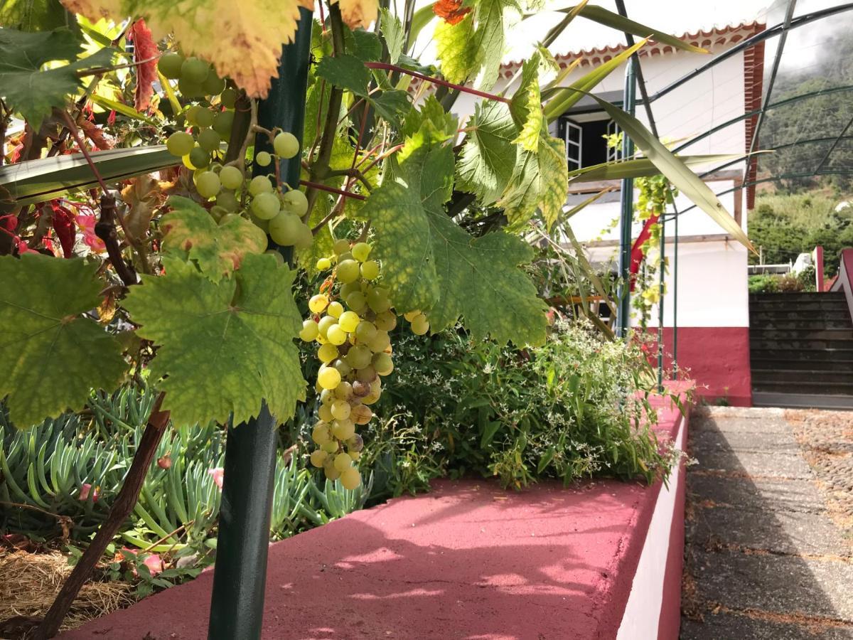 Casa Oliveira Esmeraldo - Guest Houses São Vicente Εξωτερικό φωτογραφία