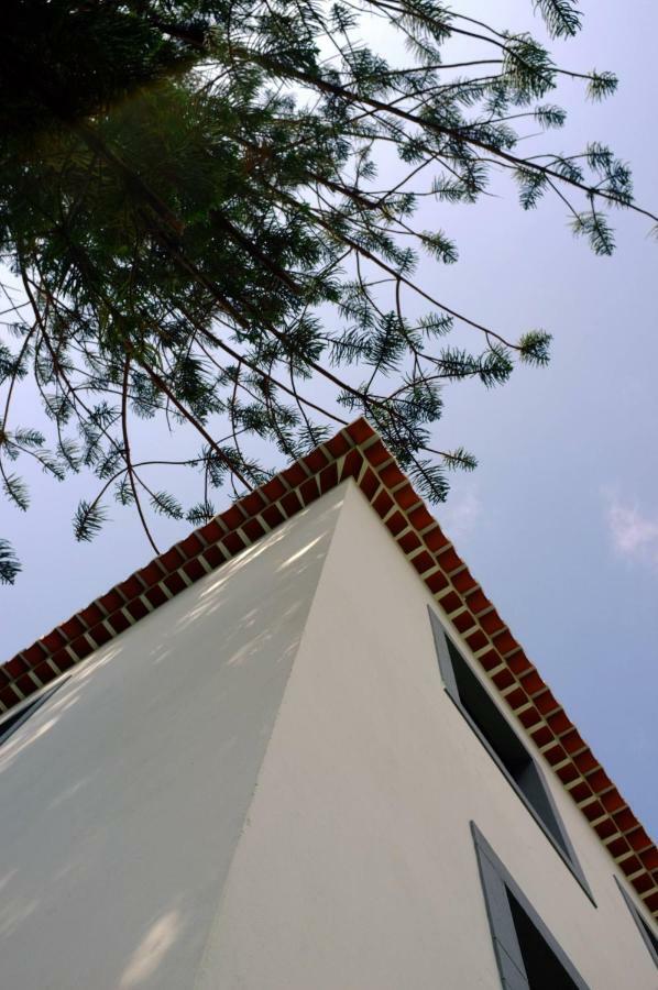 Casa Oliveira Esmeraldo - Guest Houses São Vicente Εξωτερικό φωτογραφία