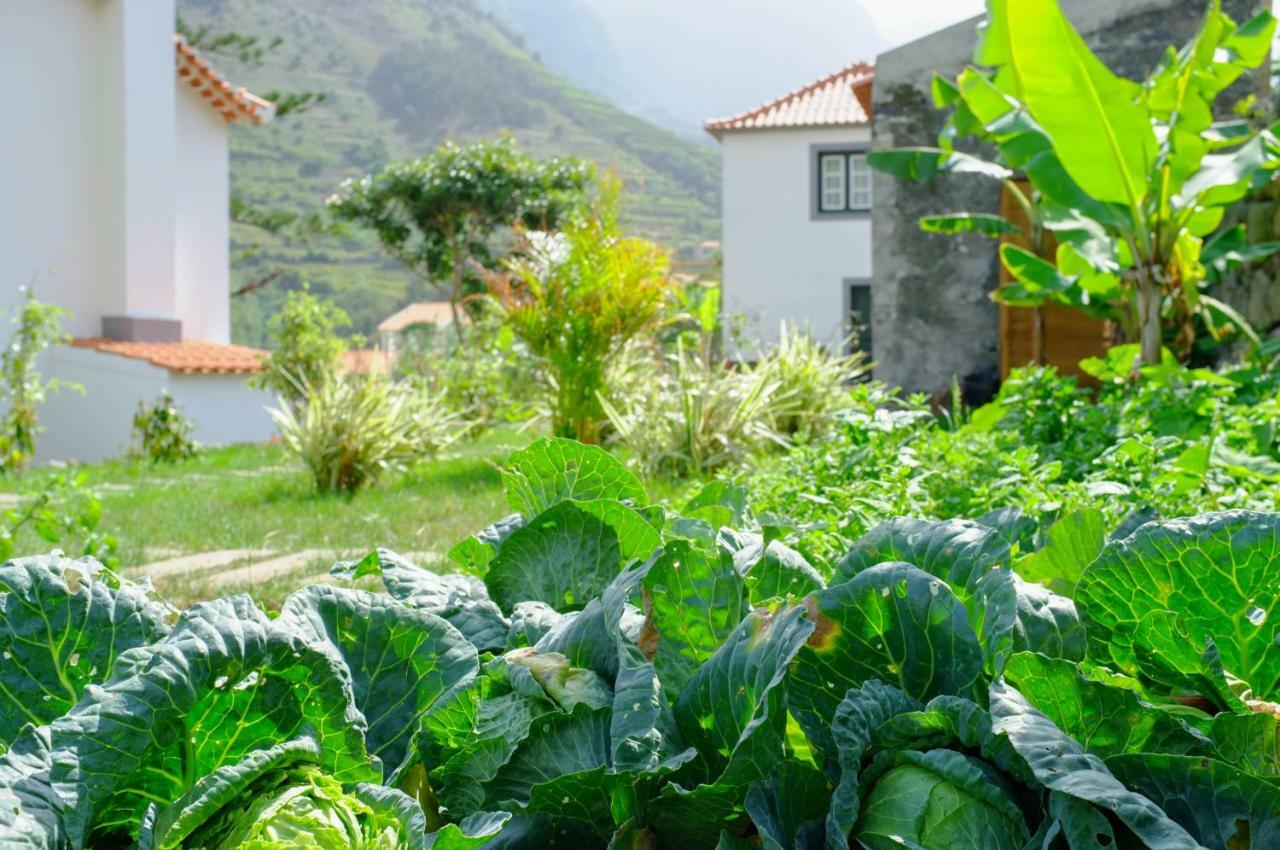 Casa Oliveira Esmeraldo - Guest Houses São Vicente Εξωτερικό φωτογραφία